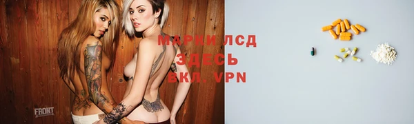 MESCALINE Аркадак