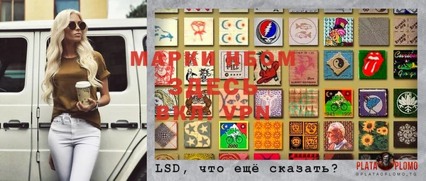 MESCALINE Аркадак