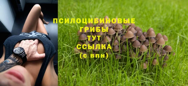 таблы Пестово