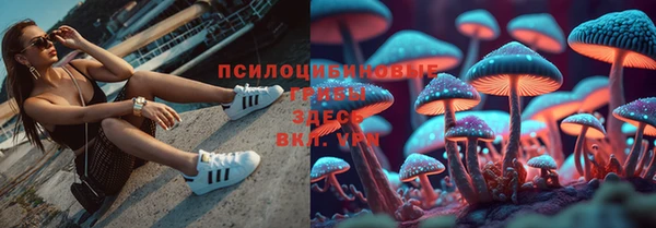 мдпв Балабаново